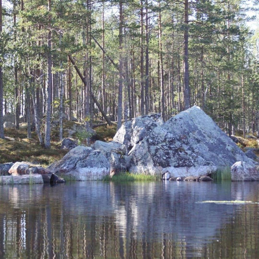 Hamra Stugby - Nature Adventures Hamra Bagian luar foto
