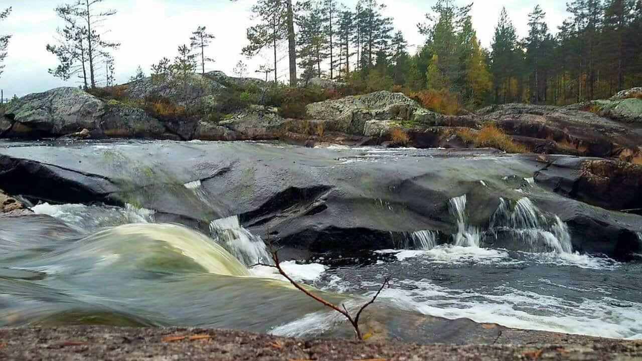 Hamra Stugby - Nature Adventures Hamra Bagian luar foto